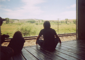 Photo of Moxie